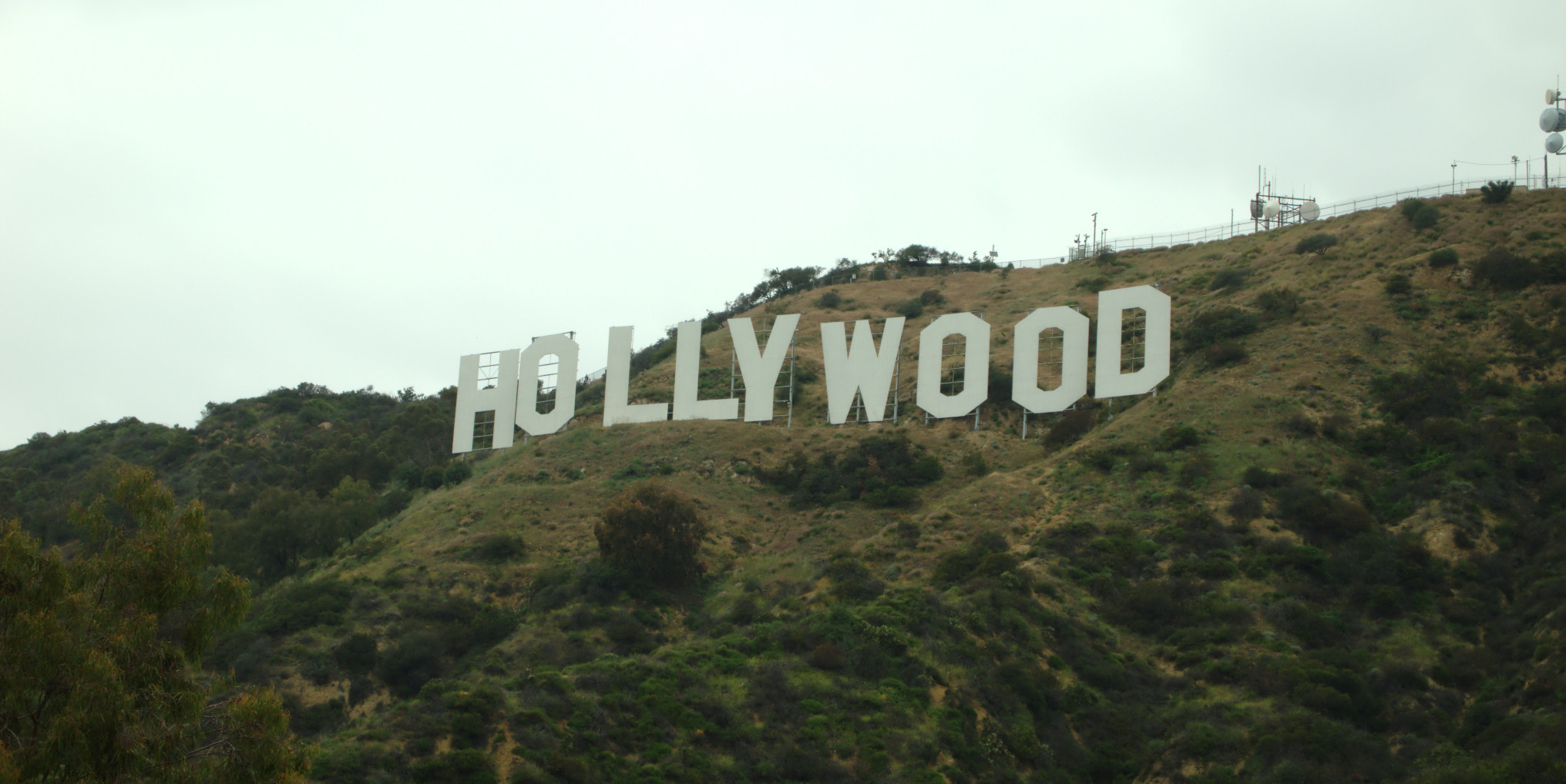 Moving to Hollywood, CA Moving Happiness Home