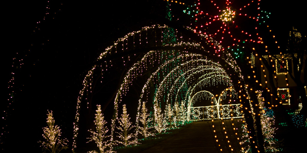 Christmas Tree Lighting Moving Happiness Home