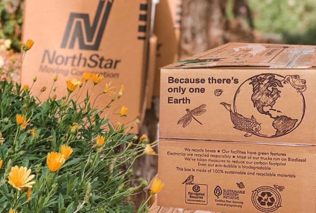 Eco-friendly Packing Materials for a luxury moving company