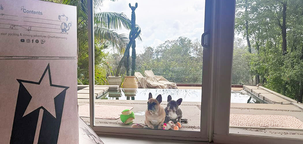 Moving with pets in Los Angeles