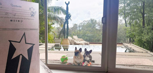 Moving with pets in Los Angeles