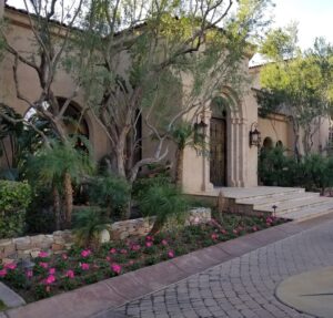 Top rated Phoenix movers like NorthStar Moving provide full service moving 