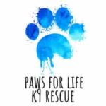 Paws for Life