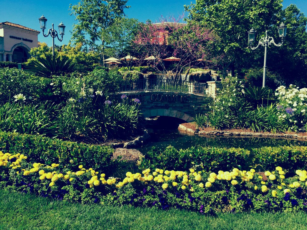 Qualified Calabasas Movers NorthStar Moving Company