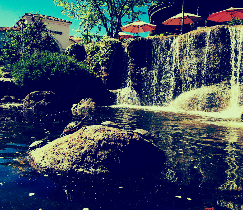 Qualified Calabasas Movers NorthStar Moving Company